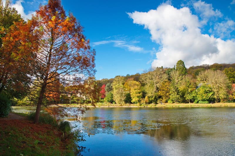 Seine - Rive droite versailles - randonnée