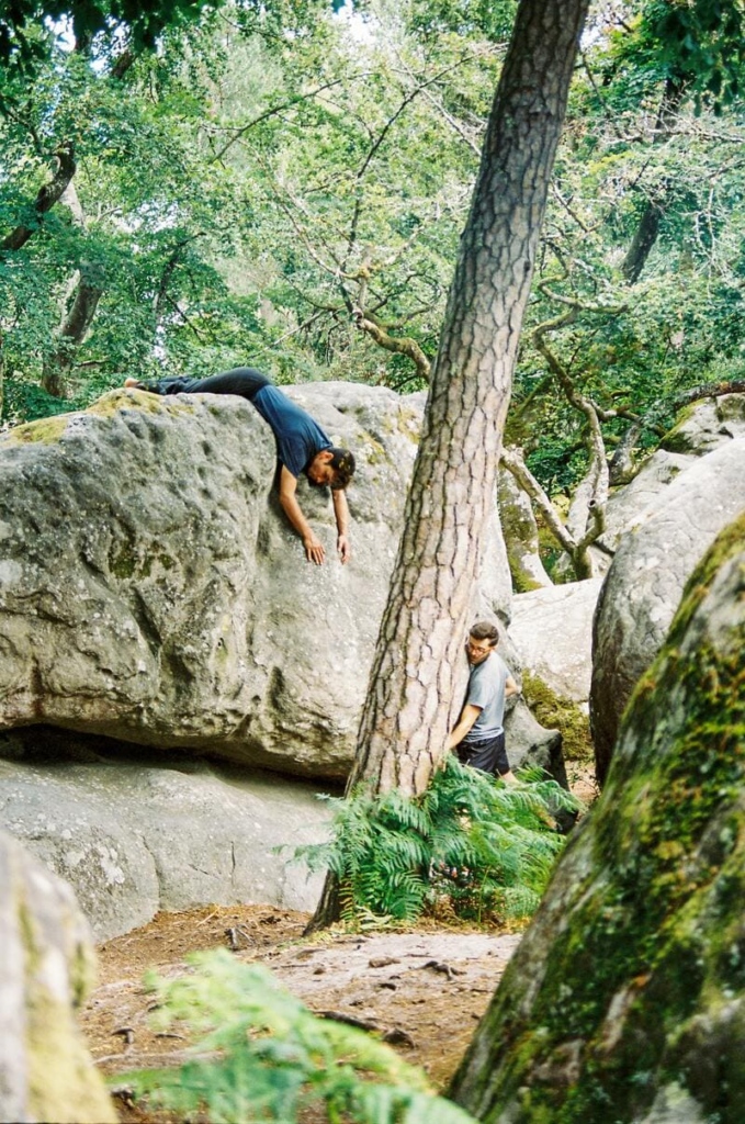 forêt fontainbleau rochers randonnée