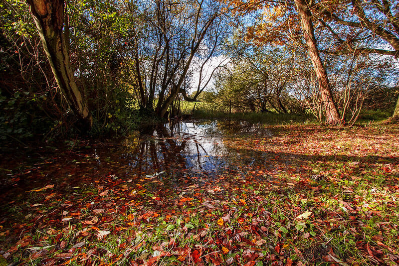 forêt communale de gif-sur-yvette point d'eau