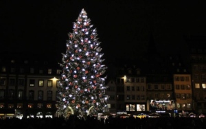 sapin de noel de strasbourg