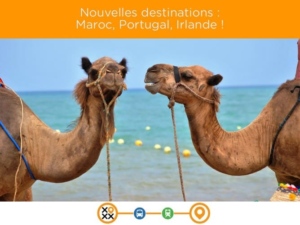 Nouvelles destinations avec tictactrip en bus Eurolines et bus Alsa