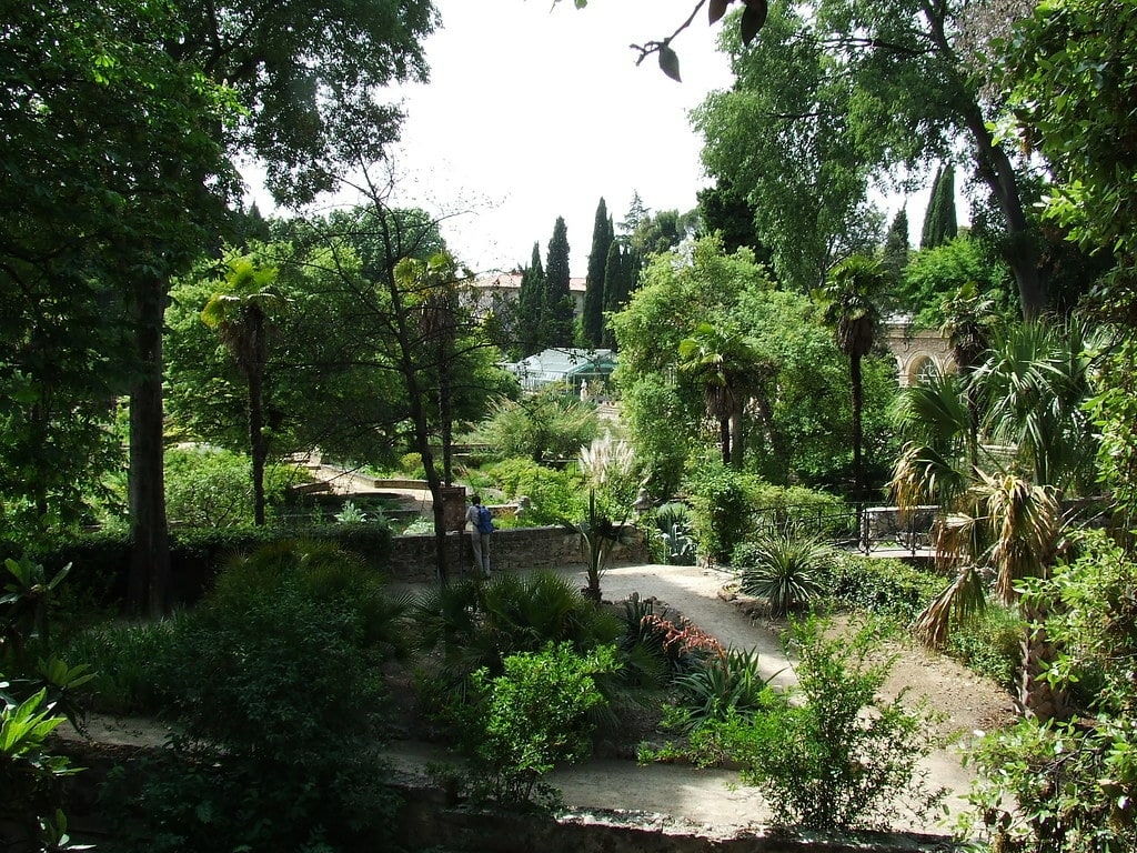 jardin des plantes - que faire à montpellier 