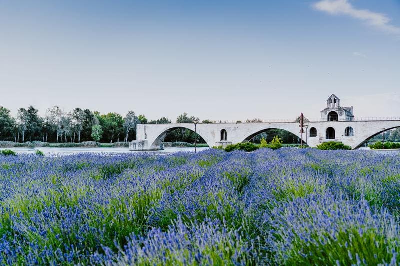 visiter avignon - pont d'avignon ou pont saint bénezet