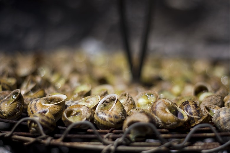 cargolade de cargols - escargots cuits