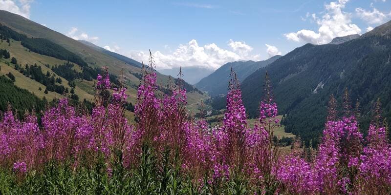 panorama de montagne queryas