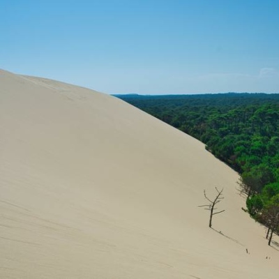 dune du pilat