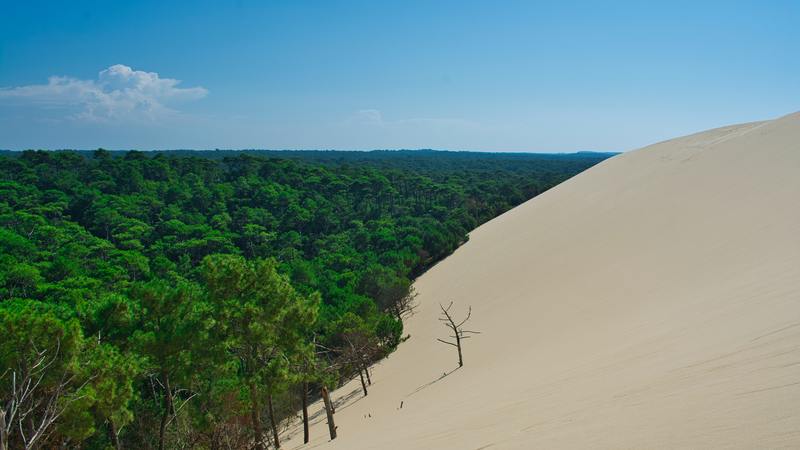 dune du pilat