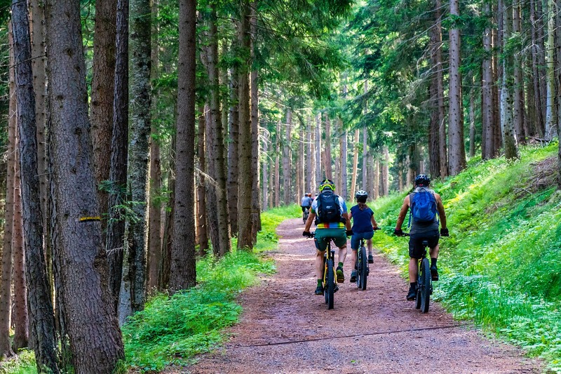 vtt en forêt