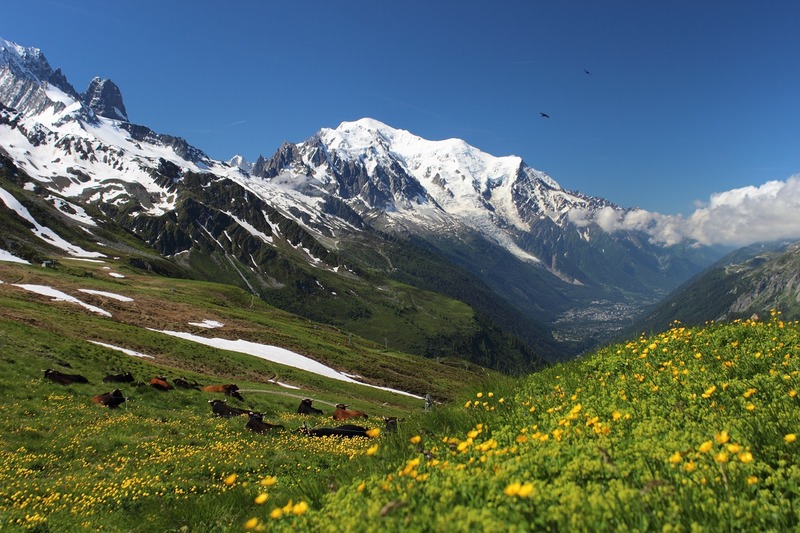 Mont-Blanc - Paysage Montagne été - Plus beaux endroits Alpes