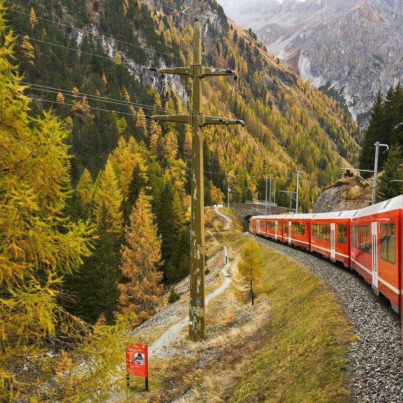 train et paysage de montagne