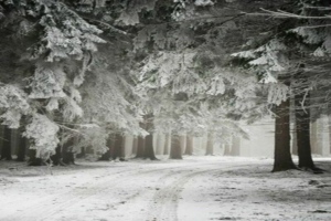 Paysage montagne en hiver