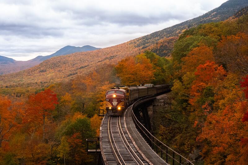 train automne paysage orange 