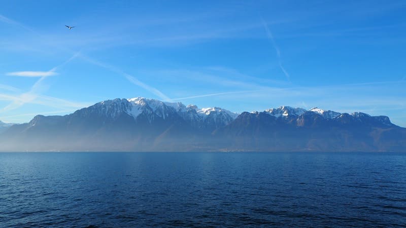 lac léman - lac de genève - étendue d'eau vue sur les alpes