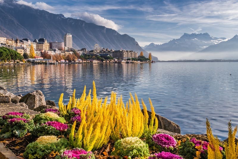 Bord du lac léman - fleur colorés jaune roses - lac glaciaire - lac de france - lac de genève