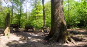 forêt de meudon - randonnée en ile de france