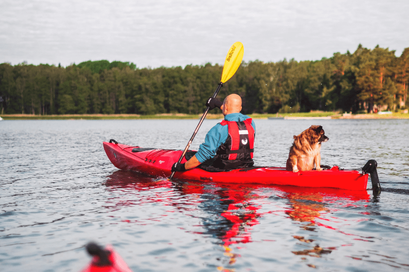 Kayak en ardèche avec homme et son chien