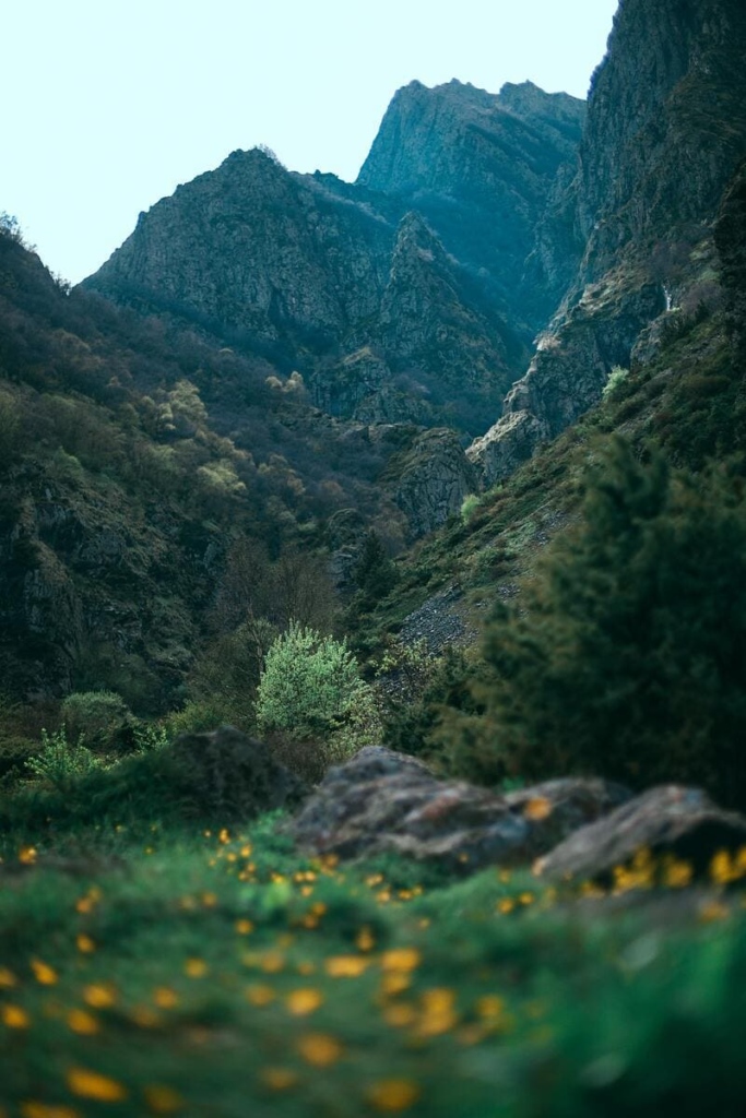 tourisme éco-responsable : montagne fleuries