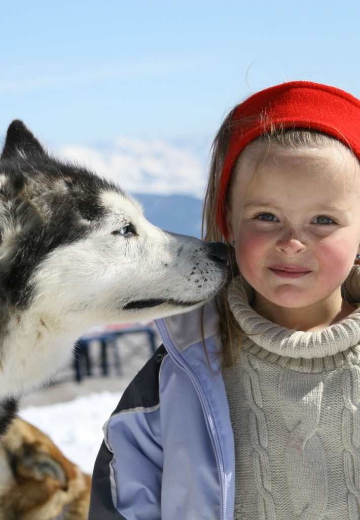 Activité hiver saint françois longchamp : Chien de randonnée