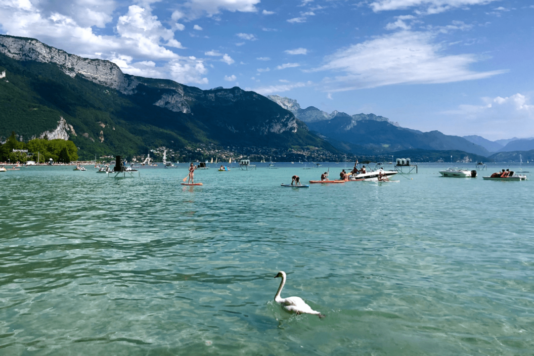 lac d'annecy en été cigne et baigneurs