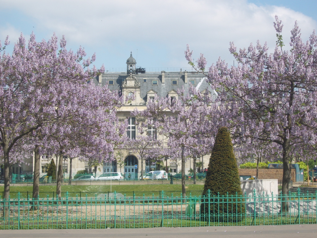 tour paris 13eme arrondissement