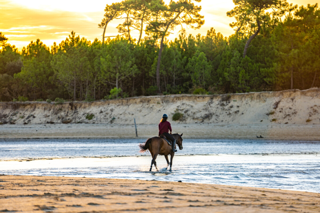 balade à cheval sur l'Île d'Oléron