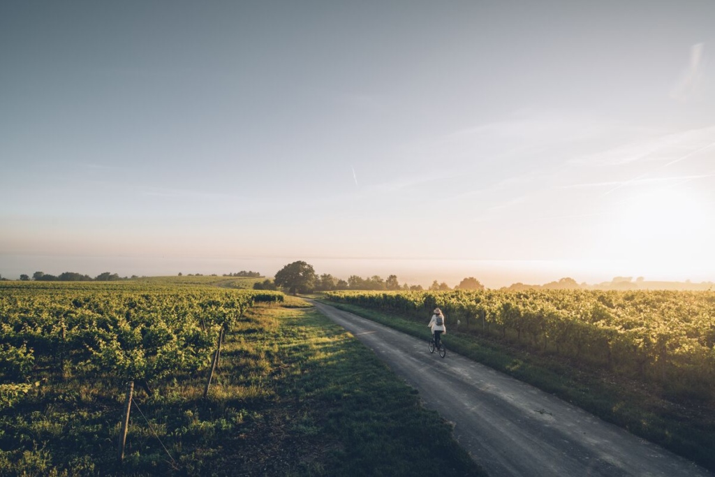 balade nature charentes