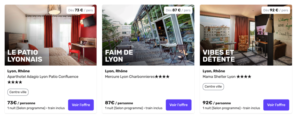 lyon logement