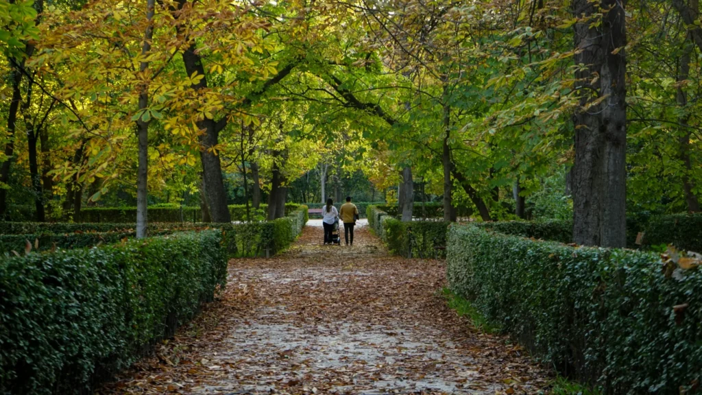 Visites culturelles à Madrid parc