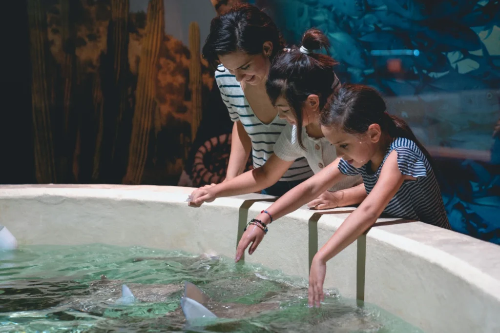 Zoo aquarium 
